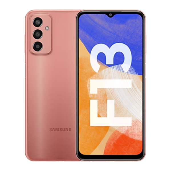 Samsung Galaxy F13